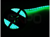 LED páska 5m zelená