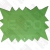 Visačky 'REBEL' 120x88 zelená